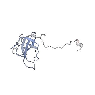 10654_6xyw_Bk_v1-2
Structure of the plant mitochondrial ribosome