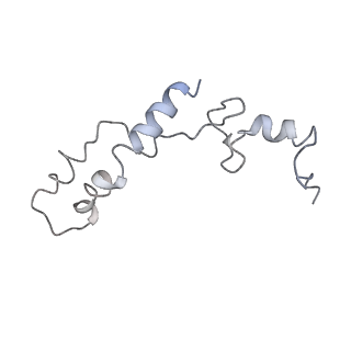 10654_6xyw_Bm_v1-2
Structure of the plant mitochondrial ribosome