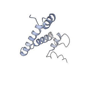 10654_6xyw_Bn_v1-2
Structure of the plant mitochondrial ribosome
