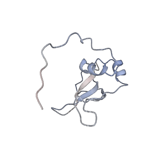 10654_6xyw_Bo_v1-2
Structure of the plant mitochondrial ribosome