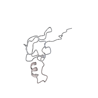 10654_6xyw_Br_v1-2
Structure of the plant mitochondrial ribosome