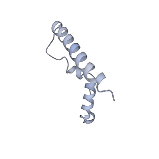 10654_6xyw_Bs_v1-2
Structure of the plant mitochondrial ribosome