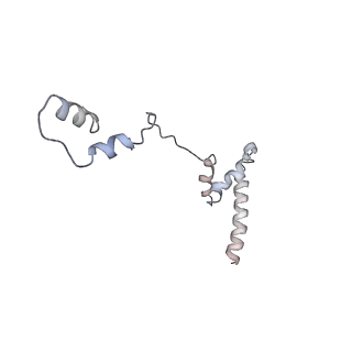 10654_6xyw_Bu_v1-2
Structure of the plant mitochondrial ribosome