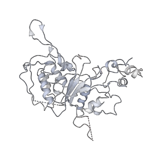 10654_6xyw_Bw_v1-2
Structure of the plant mitochondrial ribosome