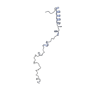 10654_6xyw_Bx_v1-2
Structure of the plant mitochondrial ribosome