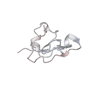 10654_6xyw_By_v1-2
Structure of the plant mitochondrial ribosome