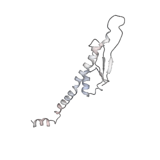 10654_6xyw_Bz_v1-2
Structure of the plant mitochondrial ribosome