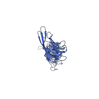 33507_7xy1_A_v1-0
Cryo-EM structure of Klebsiella phage Kp9 type I tail fiber gp42 in vitro