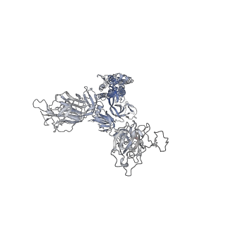 33509_7xy3_C_v1-0
Cryo-EM structure of SARS-CoV-2 spike in complex with VHH14
