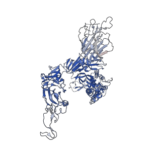 33510_7xy4_A_v1-0
Cryo-EM structure of SARS-CoV-2 spike in complex with VHH21