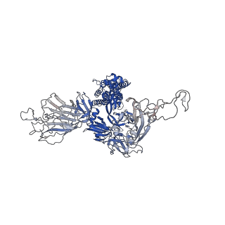 33510_7xy4_B_v1-0
Cryo-EM structure of SARS-CoV-2 spike in complex with VHH21