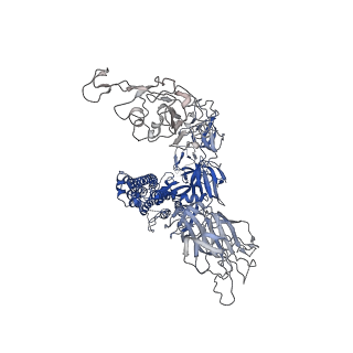33510_7xy4_C_v1-0
Cryo-EM structure of SARS-CoV-2 spike in complex with VHH21