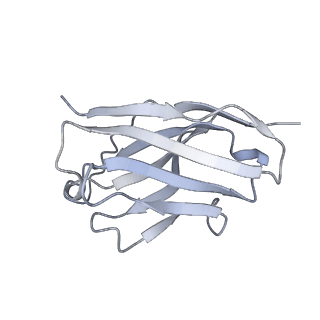33510_7xy4_D_v1-0
Cryo-EM structure of SARS-CoV-2 spike in complex with VHH21