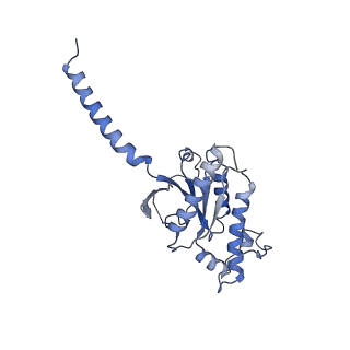 33512_7xy6_A_v1-1
Adenosine receptor bound to an agonist in complex with G protein obtained by cryo-EM