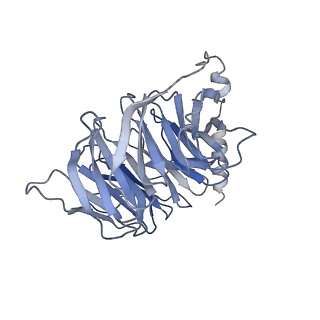 33512_7xy6_B_v1-1
Adenosine receptor bound to an agonist in complex with G protein obtained by cryo-EM