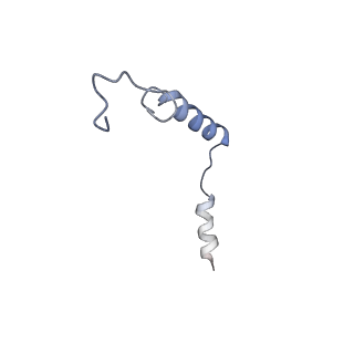 33512_7xy6_G_v1-1
Adenosine receptor bound to an agonist in complex with G protein obtained by cryo-EM