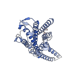 33512_7xy6_R_v1-1
Adenosine receptor bound to an agonist in complex with G protein obtained by cryo-EM