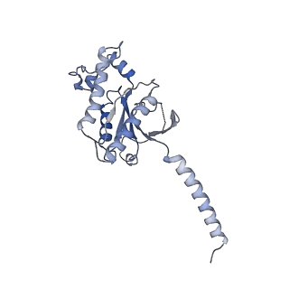 33513_7xy7_A_v1-0
Adenosine receptor bound to a non-selective agonist in complex with a G protein obtained by cryo-EM