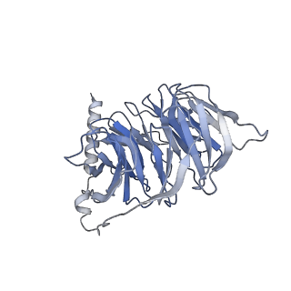 33513_7xy7_B_v1-0
Adenosine receptor bound to a non-selective agonist in complex with a G protein obtained by cryo-EM