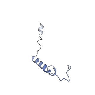 33513_7xy7_G_v1-0
Adenosine receptor bound to a non-selective agonist in complex with a G protein obtained by cryo-EM