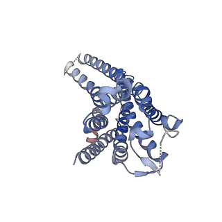 33513_7xy7_R_v1-0
Adenosine receptor bound to a non-selective agonist in complex with a G protein obtained by cryo-EM