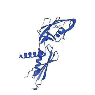 33515_7xya_A_v1-2
The cryo-EM structure of an AlpA-loading complex