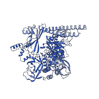 33515_7xya_C_v1-2
The cryo-EM structure of an AlpA-loading complex