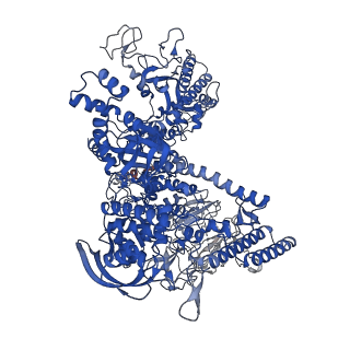 33515_7xya_D_v1-2
The cryo-EM structure of an AlpA-loading complex