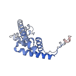 33515_7xya_G_v1-2
The cryo-EM structure of an AlpA-loading complex