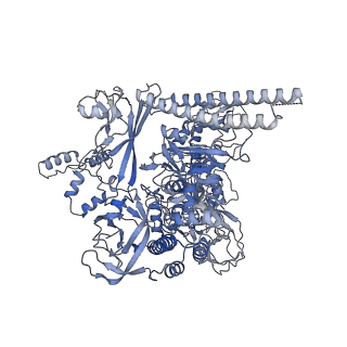 33516_7xyb_C_v1-2
The cryo-EM structure of an AlpA-loaded complex