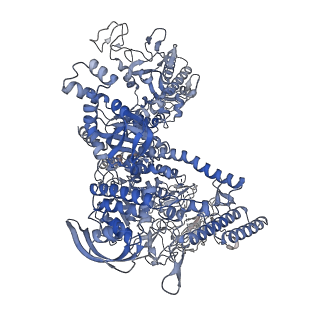33516_7xyb_D_v1-2
The cryo-EM structure of an AlpA-loaded complex