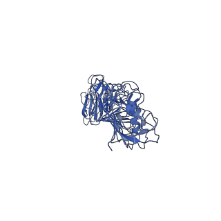 33519_7xyc_A_v1-0
CryoEM structure of Klebsiella phage Kp7 type II tail fiber gp52 in vitro