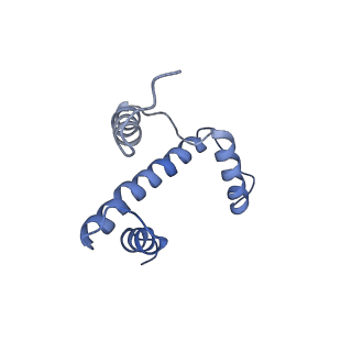 33520_7xyf_A_v1-0
Cryo-EM structure of Fft3-nucleosome complex with Fft3 bound to SHL+2 position of the nucleosome