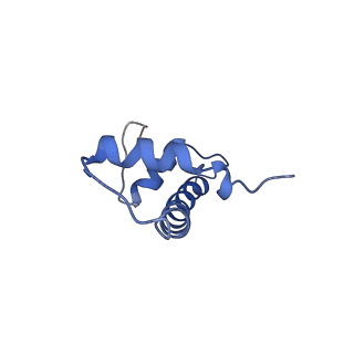 33520_7xyf_B_v1-0
Cryo-EM structure of Fft3-nucleosome complex with Fft3 bound to SHL+2 position of the nucleosome