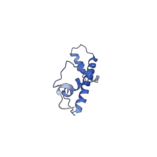 33520_7xyf_C_v1-0
Cryo-EM structure of Fft3-nucleosome complex with Fft3 bound to SHL+2 position of the nucleosome