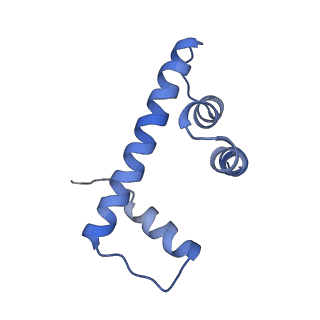 33520_7xyf_D_v1-0
Cryo-EM structure of Fft3-nucleosome complex with Fft3 bound to SHL+2 position of the nucleosome