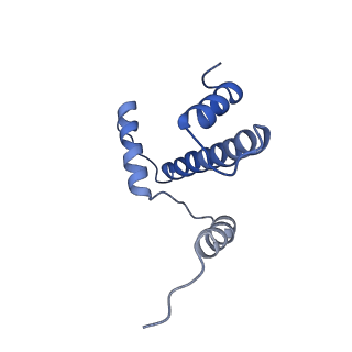 33520_7xyf_E_v1-0
Cryo-EM structure of Fft3-nucleosome complex with Fft3 bound to SHL+2 position of the nucleosome