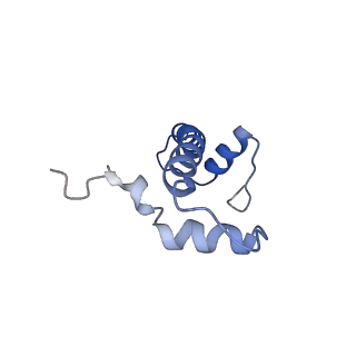 33520_7xyf_F_v1-0
Cryo-EM structure of Fft3-nucleosome complex with Fft3 bound to SHL+2 position of the nucleosome