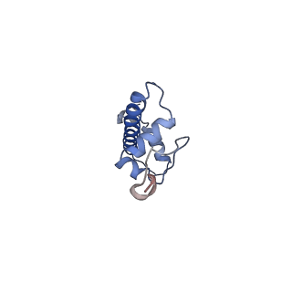 33520_7xyf_G_v1-0
Cryo-EM structure of Fft3-nucleosome complex with Fft3 bound to SHL+2 position of the nucleosome