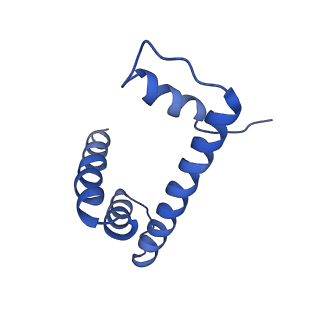 33520_7xyf_H_v1-0
Cryo-EM structure of Fft3-nucleosome complex with Fft3 bound to SHL+2 position of the nucleosome