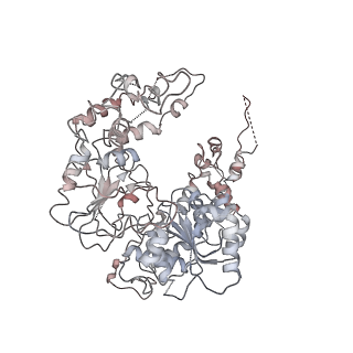 33520_7xyf_K_v1-0
Cryo-EM structure of Fft3-nucleosome complex with Fft3 bound to SHL+2 position of the nucleosome