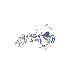33522_7xym_A_v1-0
The pre-fusion structure of Thogotovirus dhori envelope glycoprotein