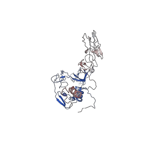33522_7xym_C_v1-0
The pre-fusion structure of Thogotovirus dhori envelope glycoprotein