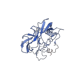 6784_5xy3_A_v1-3
Large subunit of Trichomonas vaginalis ribosome
