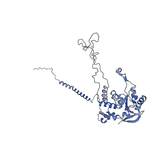 6784_5xy3_C_v1-3
Large subunit of Trichomonas vaginalis ribosome