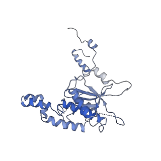 6784_5xy3_D_v1-3
Large subunit of Trichomonas vaginalis ribosome
