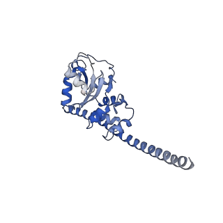 6784_5xy3_F_v1-3
Large subunit of Trichomonas vaginalis ribosome