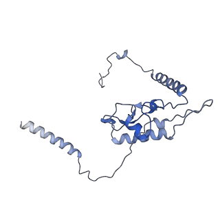6784_5xy3_L_v1-3
Large subunit of Trichomonas vaginalis ribosome