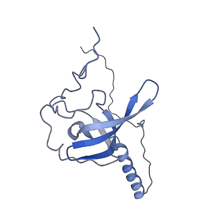 6784_5xy3_T_v1-3
Large subunit of Trichomonas vaginalis ribosome
