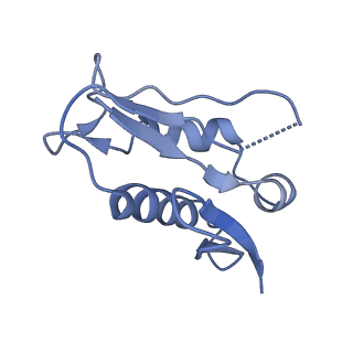 6784_5xy3_U_v1-3
Large subunit of Trichomonas vaginalis ribosome